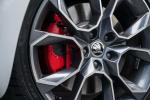 Skoda Octavia RS 245 2017 года (AU)
